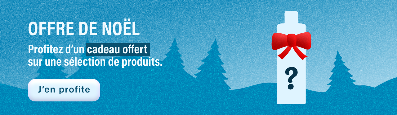 Offres de Noël 2025